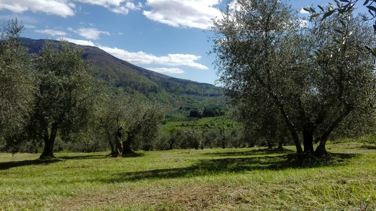 La Fornella Dell'Anita Villa Pelago Exterior photo